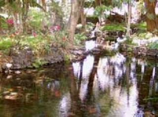  Natural pools 